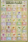 essential oil wall chart