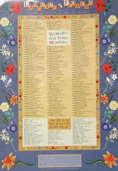 language of flowers wall chart