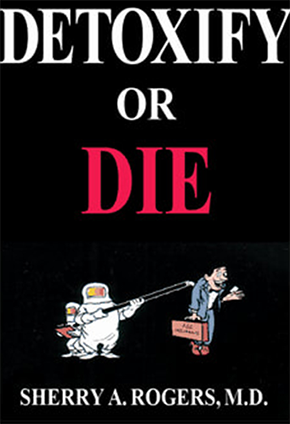 dsrdd_front.png