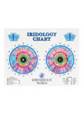 Dr. Jensen Desk Iridology Chart