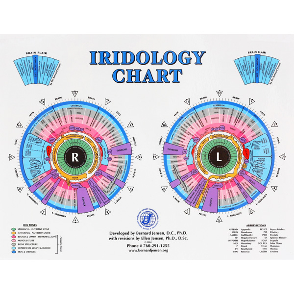 Dr Jenson Desk Iridology Chart
