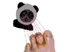 lovely panda healing foot