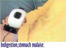lovely panda stomach
