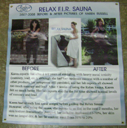 karen russel poster
