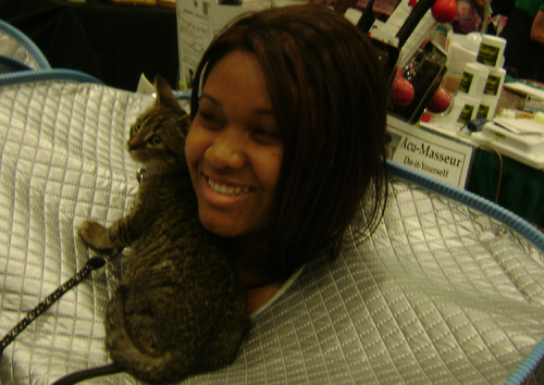 sauna
                    and cat