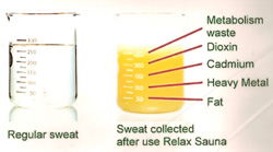 Relax sauna sweat vs regular sauna sweat