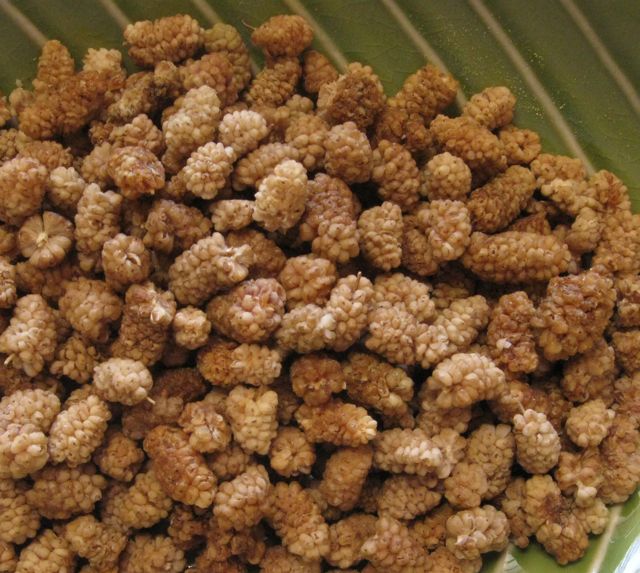whitemulberry.jpg