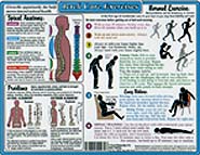 Back Care Exercise Chart