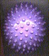 body ball - lavender