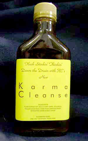 Karma Cleanse