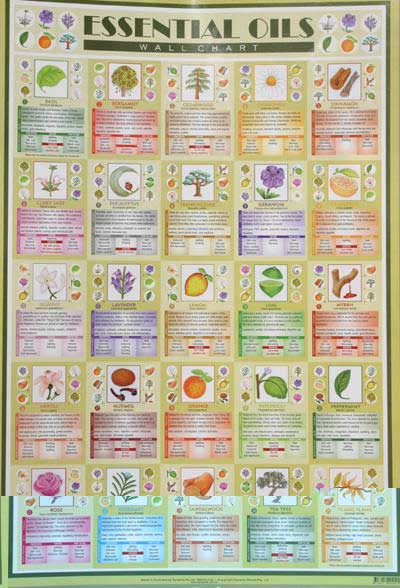 essential oils wall chart