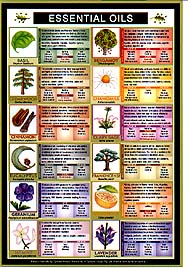 Essential Oils Pest Control Chart