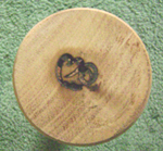 ma roller logo
