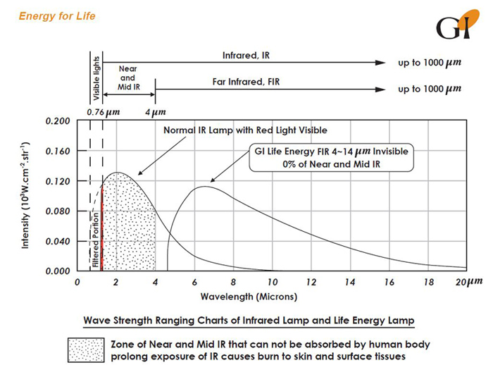 near vs far infrared energy - comparison on
                    how much is absorbed by human body