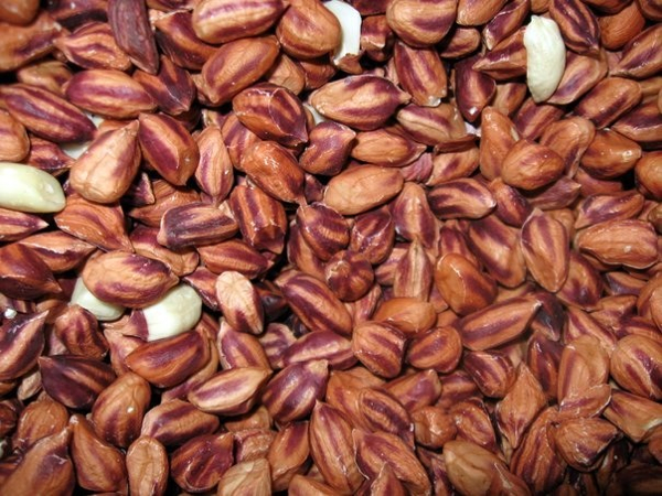 nuts.jpg