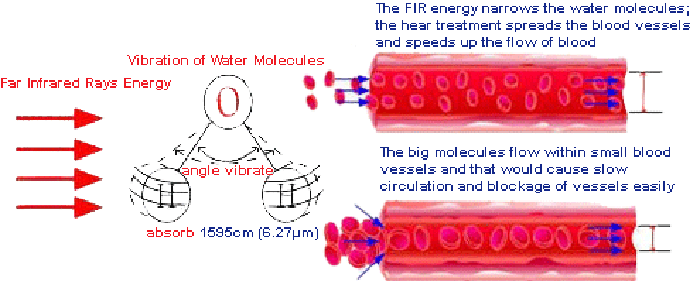 how the water molecules pulsate